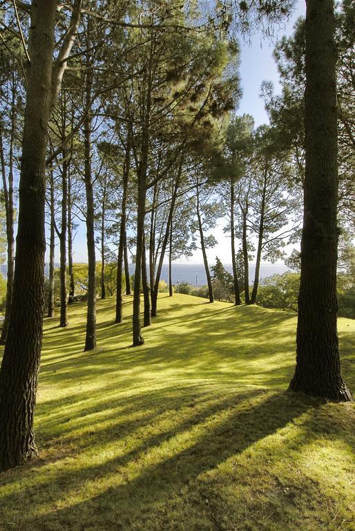 Hotel Del Lago Golf & Art Resort Punta Ballena Exterior photo